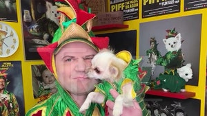 111324-piff-magic-dragon-clone-primary