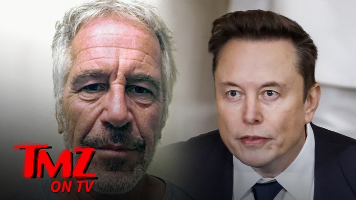 jeffrey_epstein_elon_musk_kal