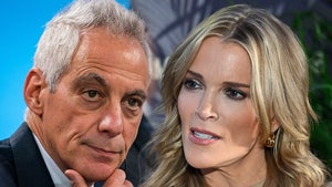 Rahm Emanuel Megyn Kelly main getty 2