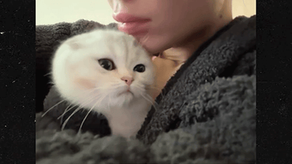 110825_kylie_jenner_cat_ka;