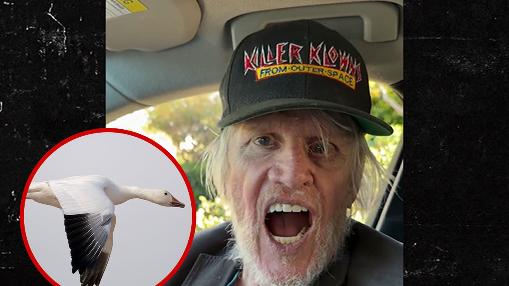 Gary Busey Loudly Honks Like a Goose in Bizarre Holiday Video Gary Busey Loudly Honks Like a Goose in Bizarre Holiday Video
