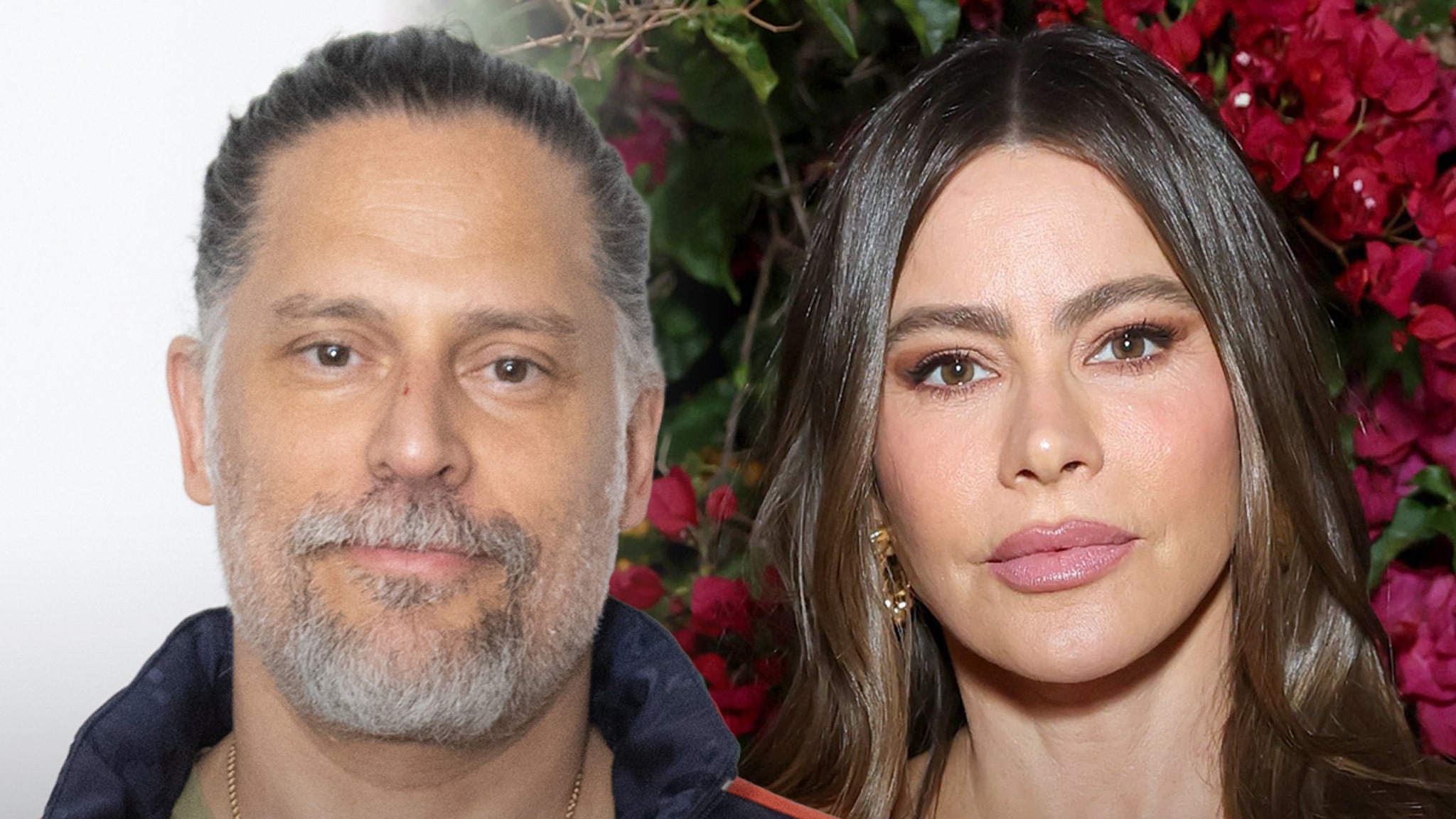 Joe Manganiello Didn't Give Sofía Vergara Heads Up on Memoir Details