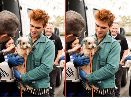 0221-kj-apa-frigin-diffeerences-primary-3