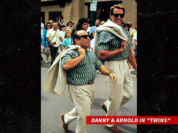 Danny & Arnold in "Twins"