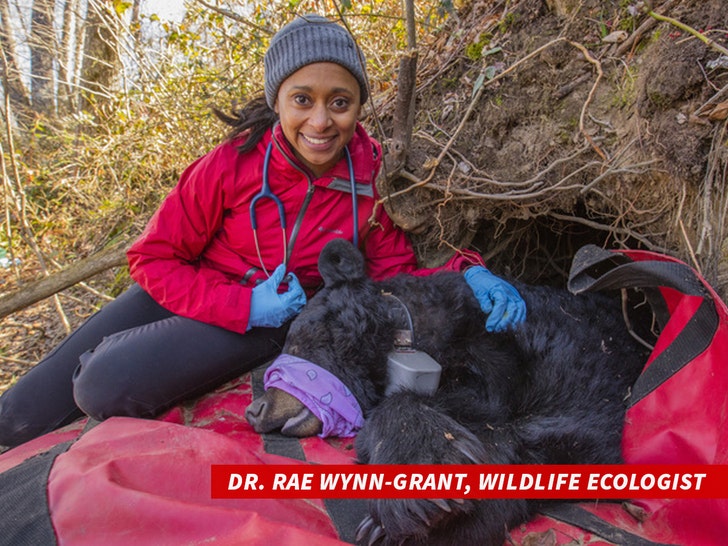 دكتور. Rae Wynn-Grant, wildlife ecologist