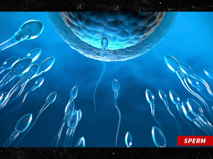 sperm cells swimming towards egg cell getty sub swipe