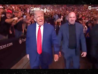 donald trump dana white ufc