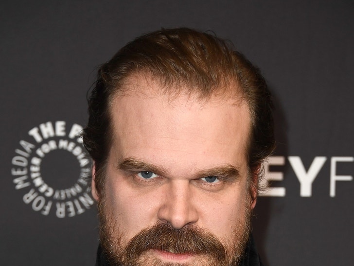David Harbour Through The Years 0