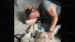 Matthew Stafford's Family 'Devastated' After Pet Dog, Marley, Dies