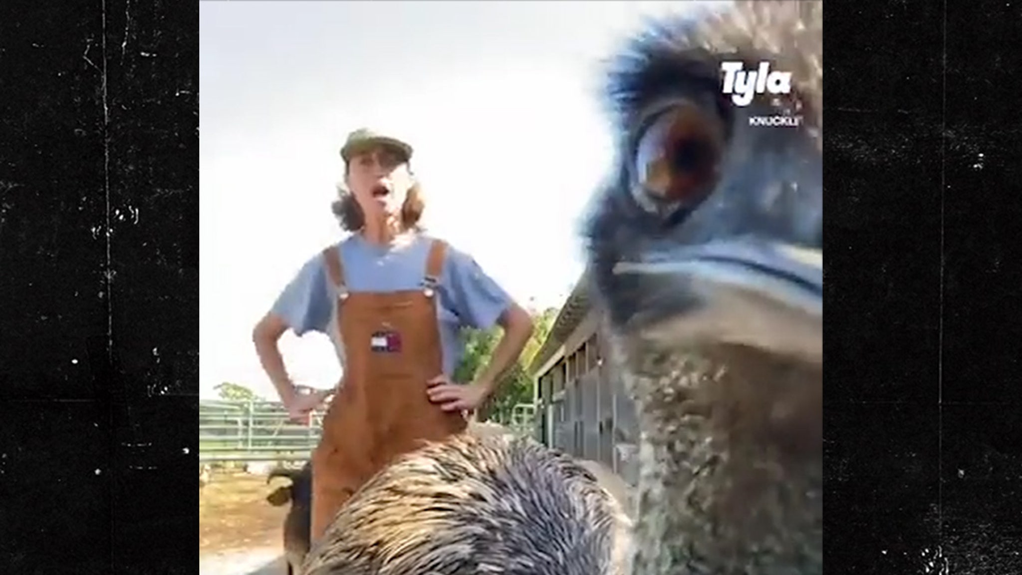 يربك Emmanuel the Emu باستمرار مالكي TikToks وينتقل بسرعة