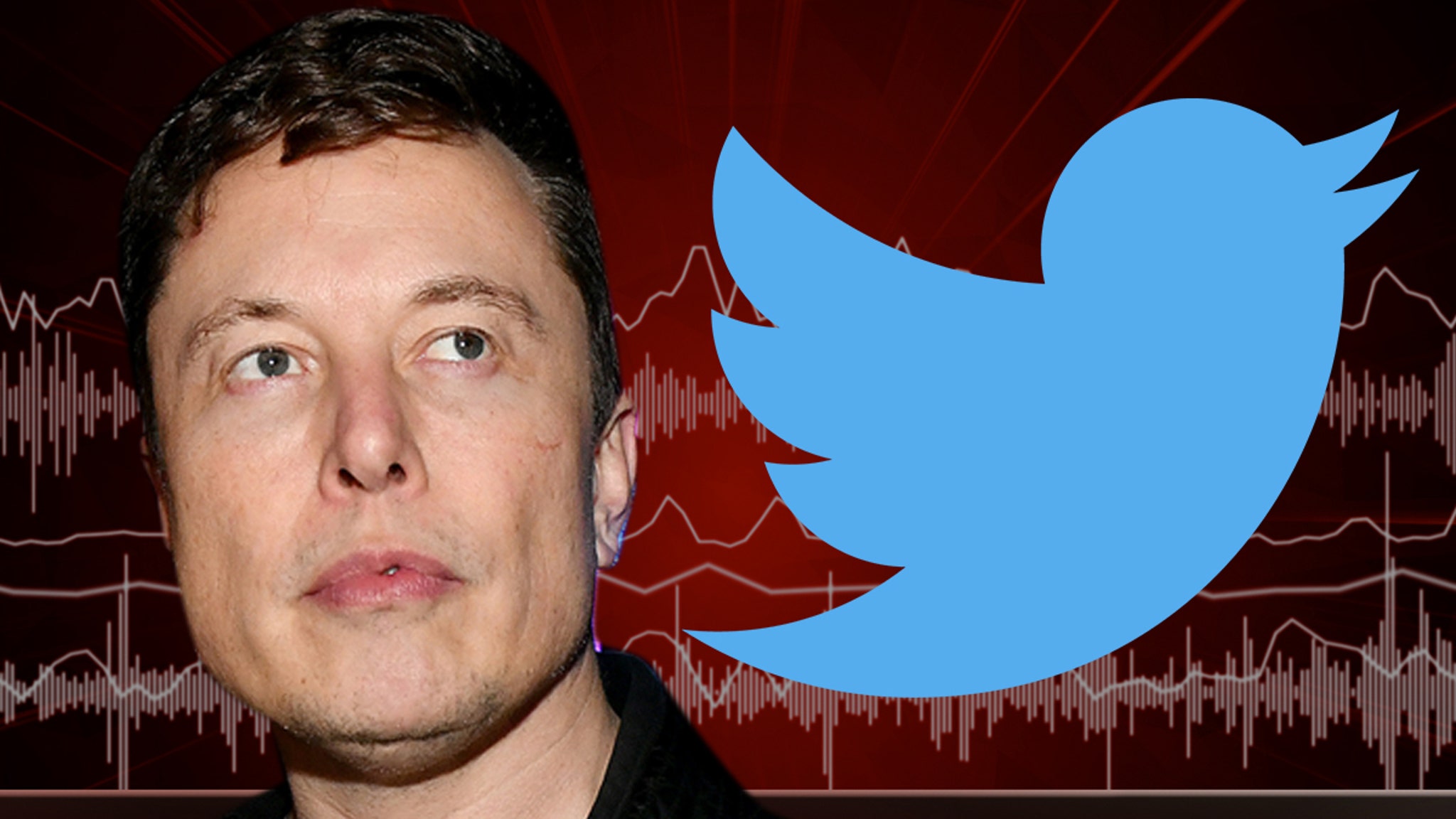Elon Musk Gives Twitter Employees a Back-to-Work Ultimatum