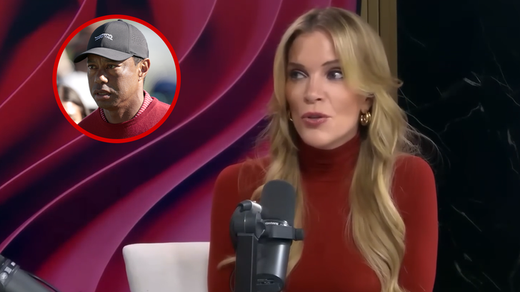 040526 megyn kelly kal