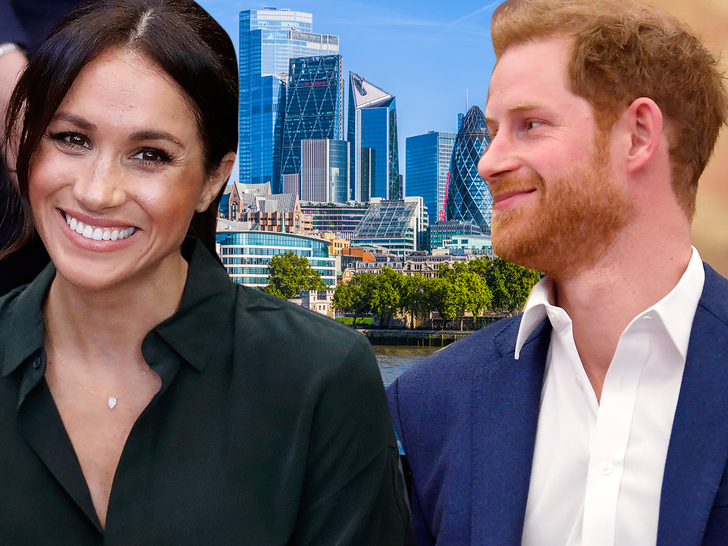 Prince Harry, Meghan Markle Meet Queen and Prince Charles in London