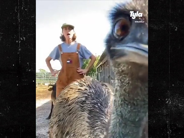 Emmanuel the Emu
