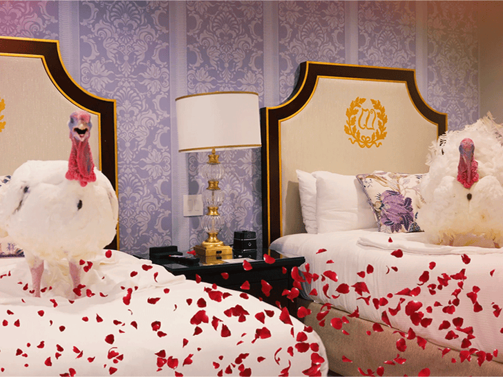 White House Posts 'Love Island'-Style Video for Upcoming Pardoned Turkeys 1 112525_white_house_turkey_bed_roses_primary