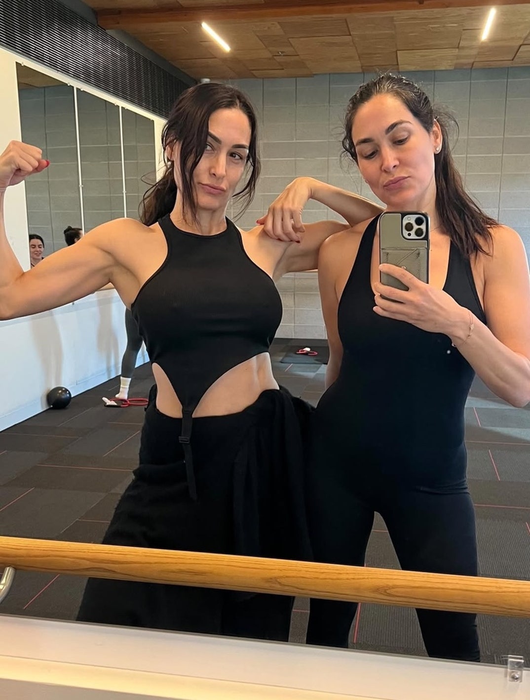 Brie Nikki Garcia Total Hotties 0