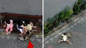 050420 monkey primary