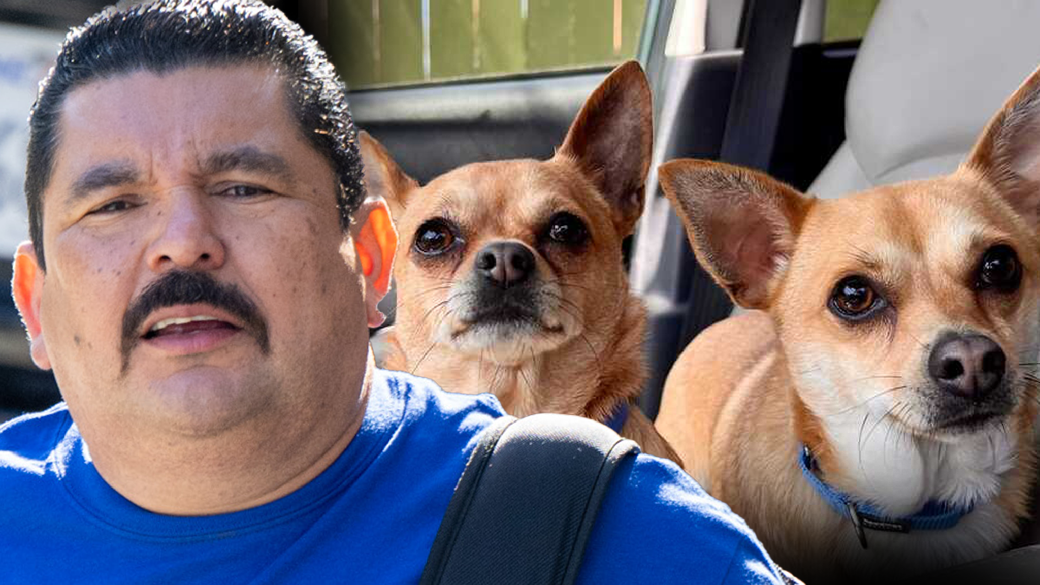 ‘Kimmel Live’ Star Guillermo Apologizes for Rescue Dogs Ending Up at Shelter