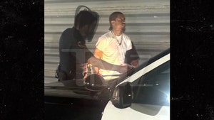 lil reese arrested tmz 1