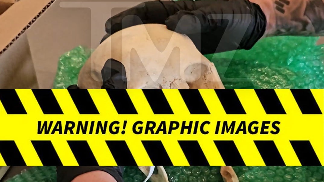 1117-Hila-Klein-Human-Skull-PRIMARY