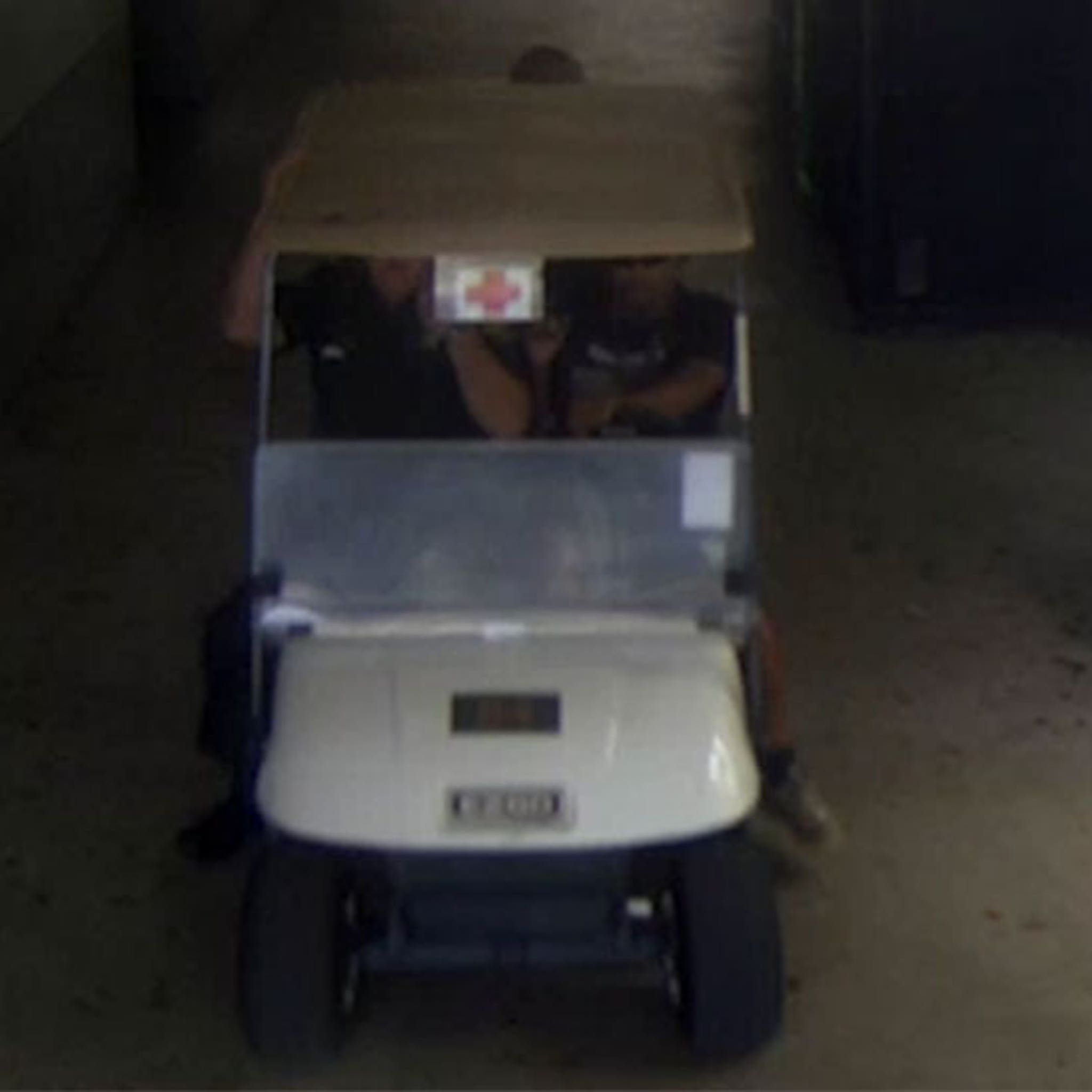 Electric Golf Cart Hs Code Golf cart help