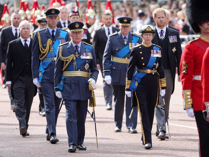 Harry and William Walk Behind Queen Elizabeth's Casket