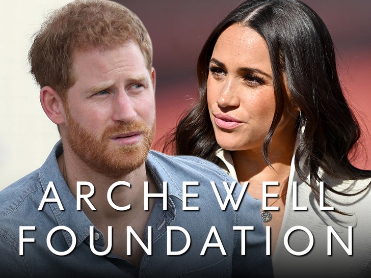 Prince Harry and Meghan Markle archewell foundation