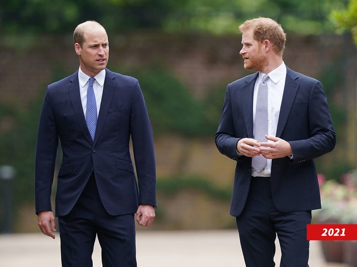 prince william and prince harry