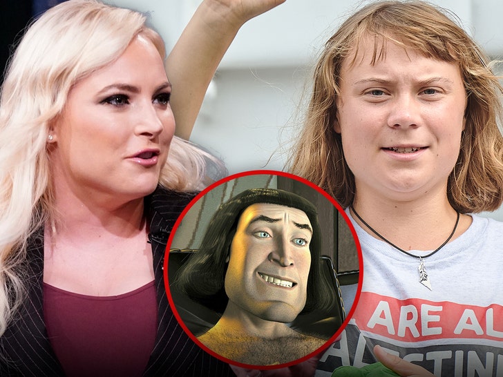 megam-mccain-greta-thunberg-getty-alamy-1