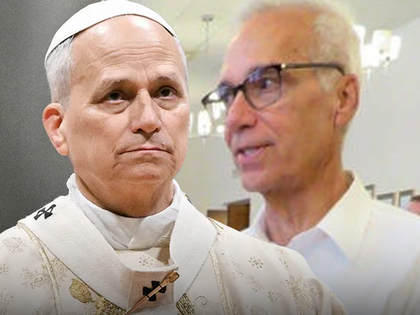 pope leo john prevost main getty composite