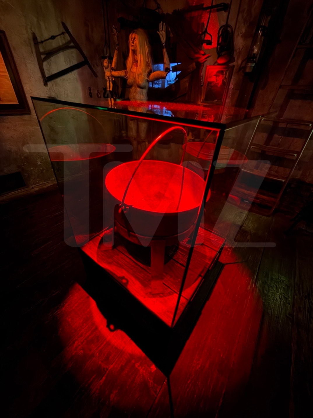 The Haunted Museum Cauldron Photos 8