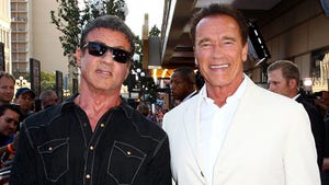 Sylvester Stallone vs. Arnold Schwarzenegger: Who'd You Rather?