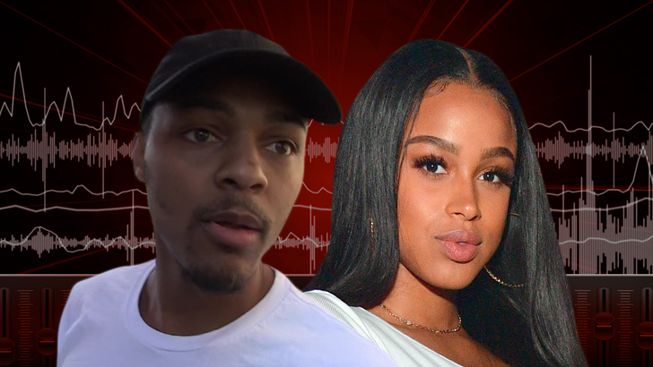 0206-bow-wow-audio-art-tmz-01 2