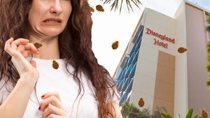 Disneyland Hotel Pays $100k Settlement Over Bed Bug Lawsuit