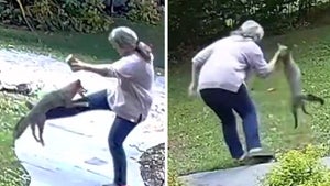 Fox with Rabies Attacks Woman Outside Her Home