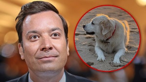 jimmy fallon and pet dog insta getty 1