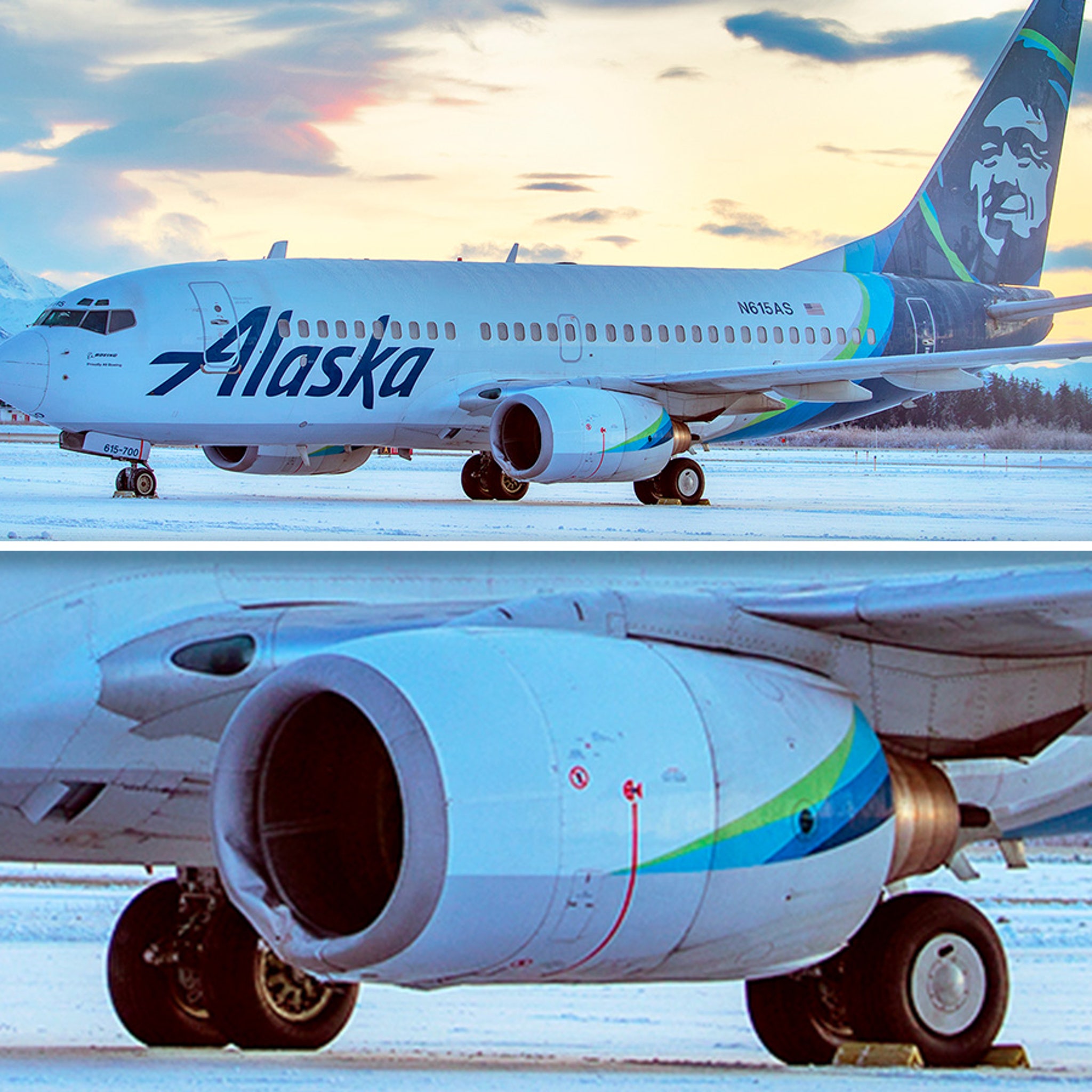 alaska airlines live animal cargo