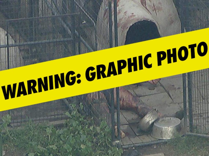 Pit Bulls Maul Man to Death in Compton