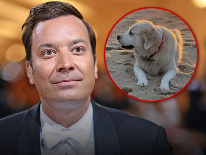 jimmy fallon and pet dog insta getty 1