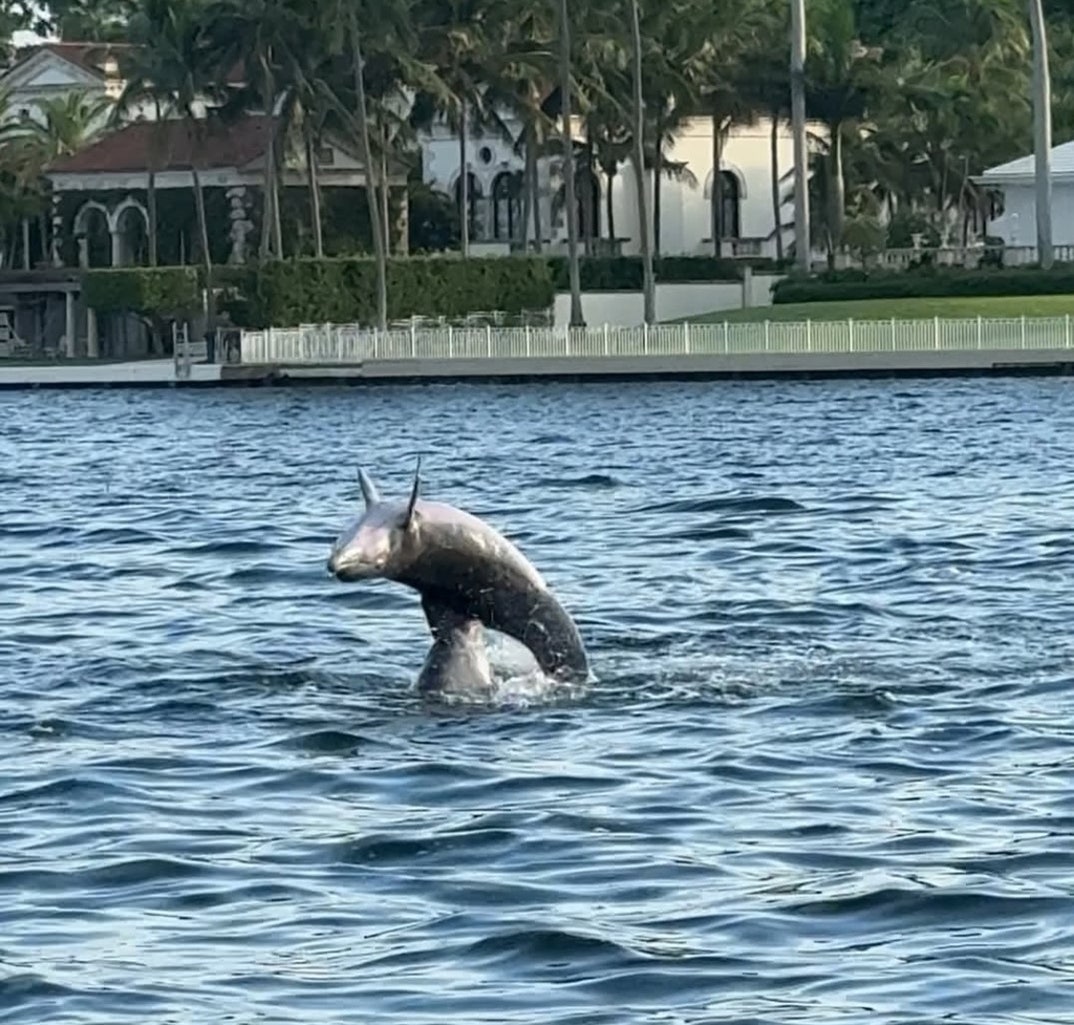 Gisele Bundchen 2025 Recap 5