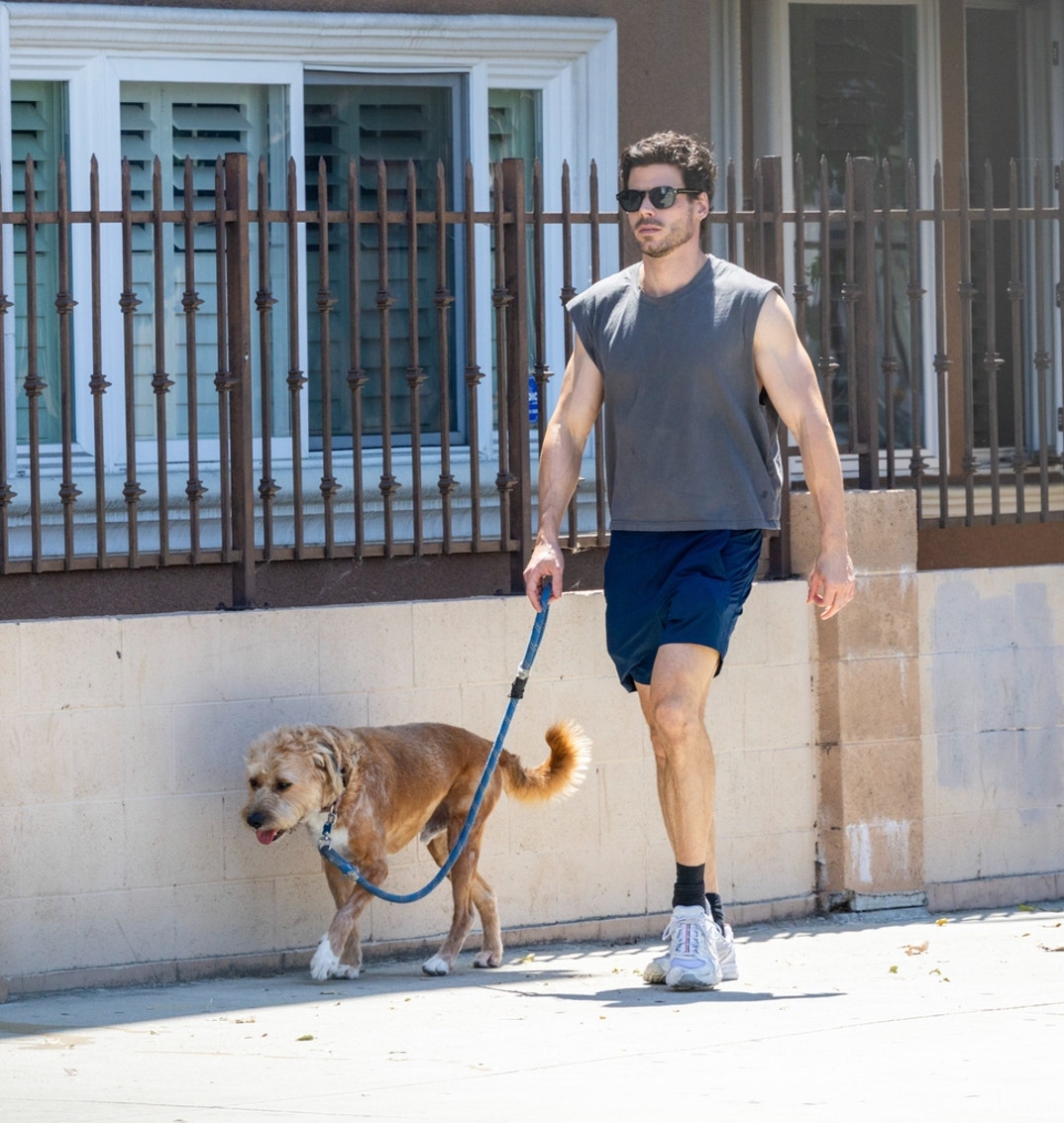 FranCois Arnaud Dog Walk 6