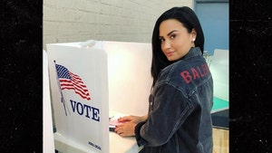 Demi Lovato Breaks Social Media Silence to Show She's Voting