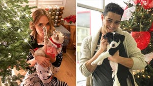 Holiday Pets With Christmas Trees -- Firry Friends!