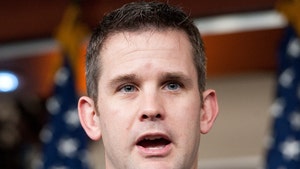Rep. Adam Kinzinger Joined 'Devil's Army,' According to Letter from 11 Family Members