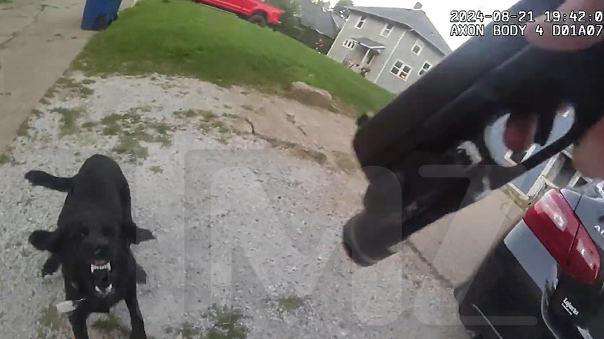 Bodycam video of dog shooting at police officer in Iowa released – father wants police officer to go to jail