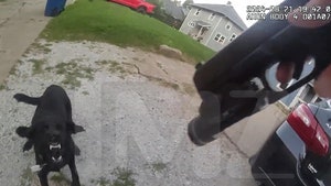 Iowa Cop Shoots Dog