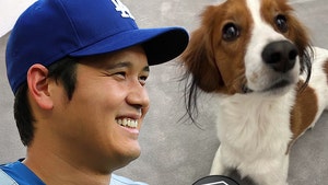 shoehi ohtani dog getty comp