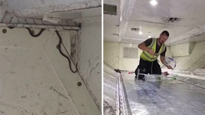 070225_snake_plane_kal