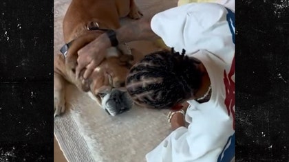 092625_lewis_hamilton_roscoe_kal