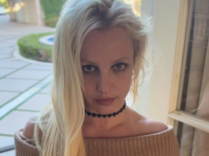 Britney Spears is 'Completely Dysfunctional' and In Danger of Going Broke